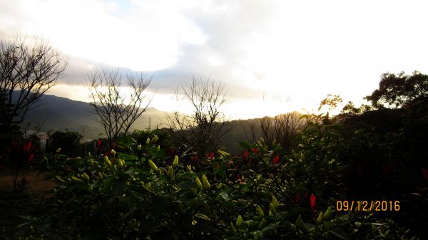 中和環山步道 - 夕陽 彩霞 伴我歸 ...216689