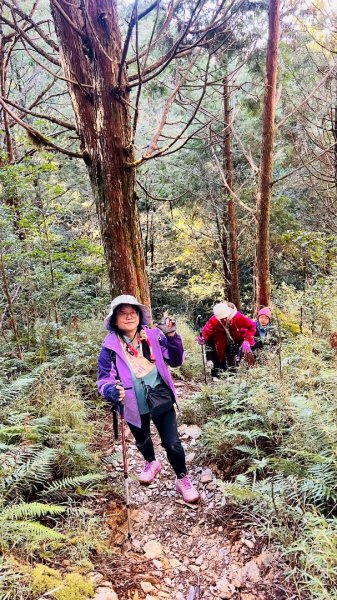 走入魔幻森林 探訪三星池與妹池2950190