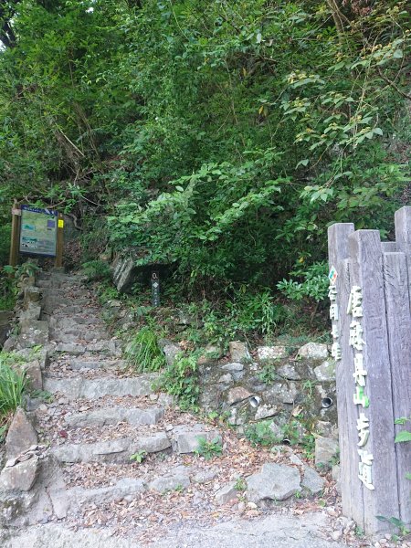 唐麻丹山2790134