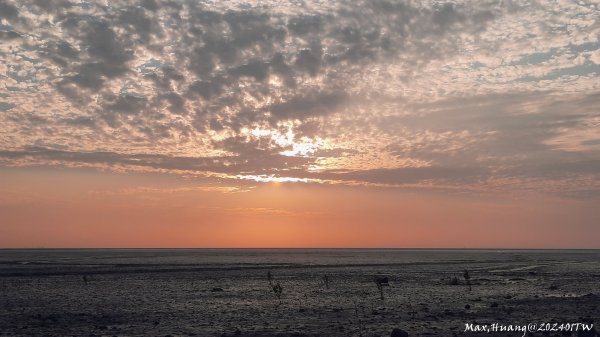 《彰化》海空夕陽｜芳苑海空步道濕地紅樹林202401072397736
