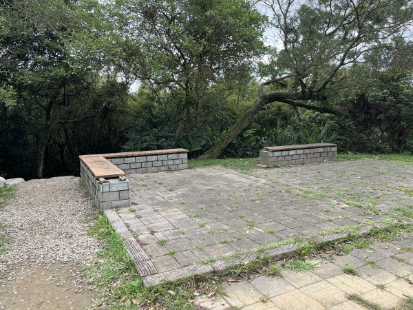 [微笑山線_第一段] 2025_0720 大棟山系_大棟山2843603