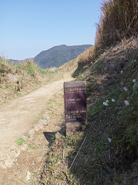 【台北-臺灣百大必訪步道】金包里大路思古1282191