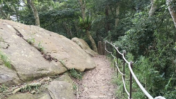 20251004 馬那邦山 - 珠湖 登山口2904836