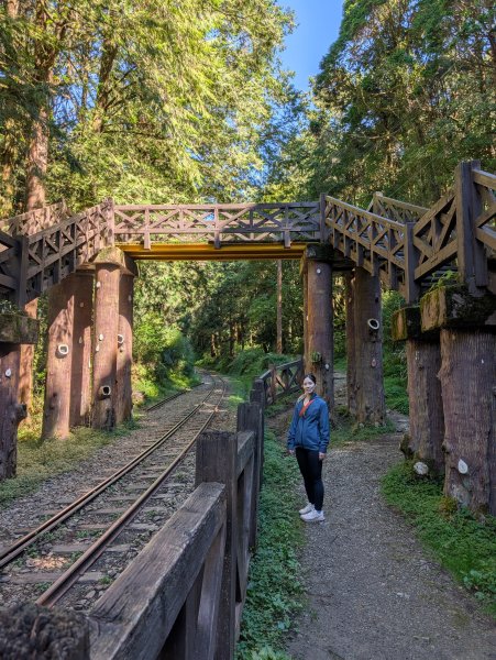 二訪阿里山國家森林遊樂區之大塔山對高岳之旅2991636