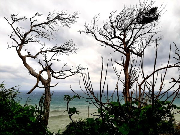 琅嶠卑南古道2700545