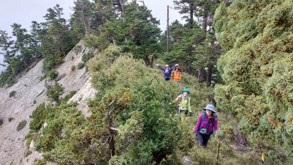 關山嶺山縱走溪頭山1846035