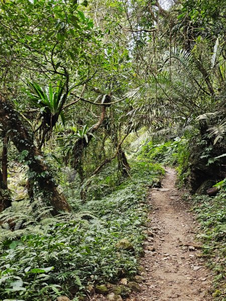 馬胎古道、馬胎二期古道、南坪古道2986019