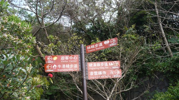 觀音山登山健行趣(小百岳05號)1632324