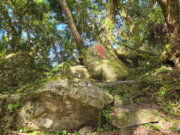 都蘭山（小百岳）2974186