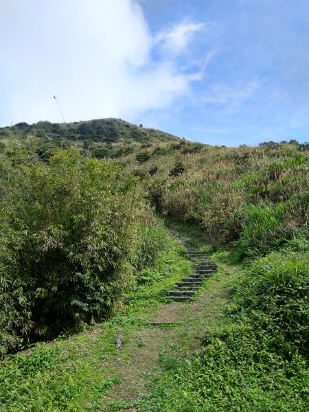 基隆山 金瓜石地質公園 報時山1056043