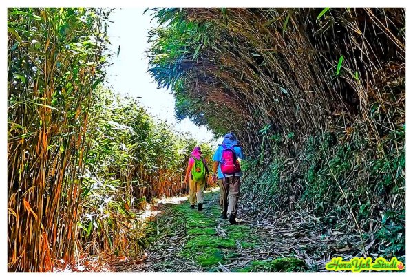 北環段七星山人車分道 七星瀑布 夢幻湖 下冷水坑泡腳趣2864588