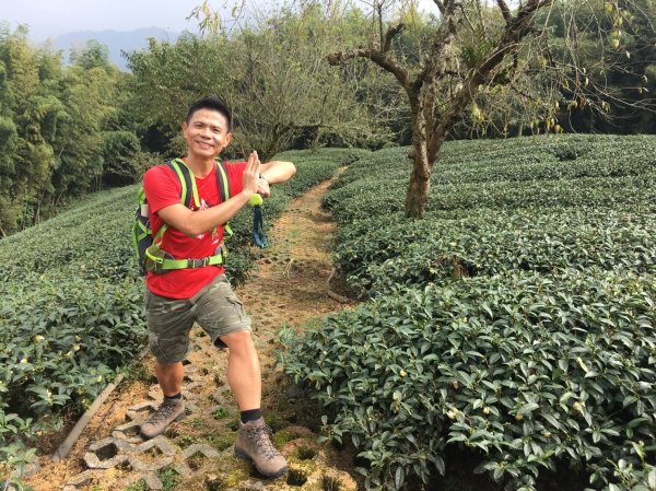 光輝燦爛慶雙十之大石公走到大崙山賞銀杏之旅435482