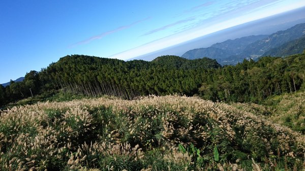 羅山林道北線趴趴走417942