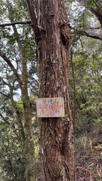 六龜警備線南段（藤枝-茂林）2天1夜2758259