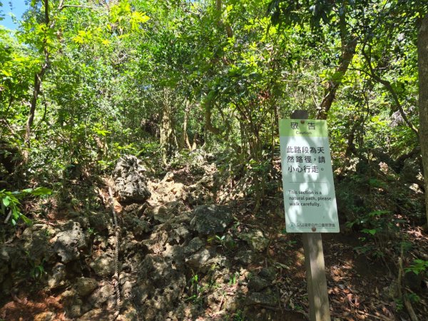 南壽山步道2805690