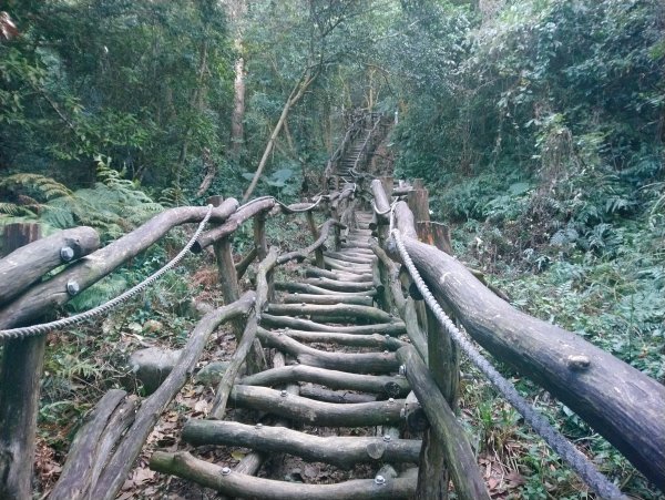 大坑步道全包一起登( 2 3維修)747631