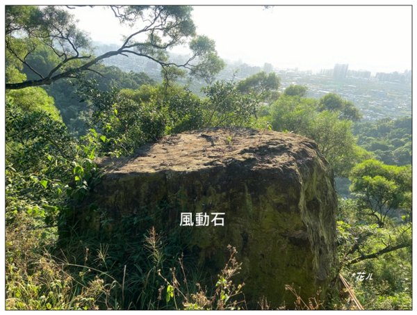 軍功寮山、大坑9、7、6、9-1步道 O型一圈2950819