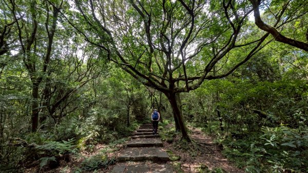 114.07.13三進三出七星山之旅2837155