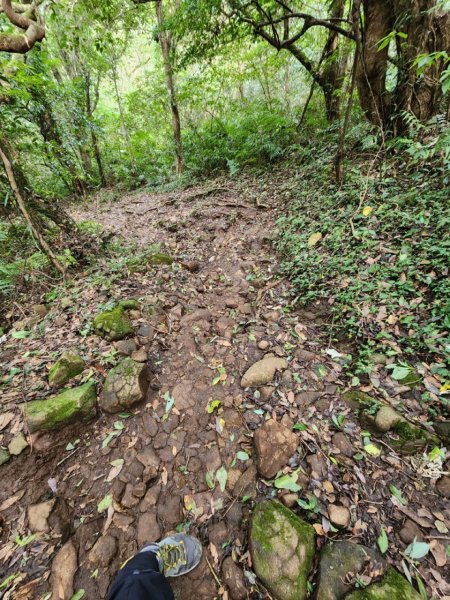 20230806 走遍陽明山最終回，大屯山群峰2240874