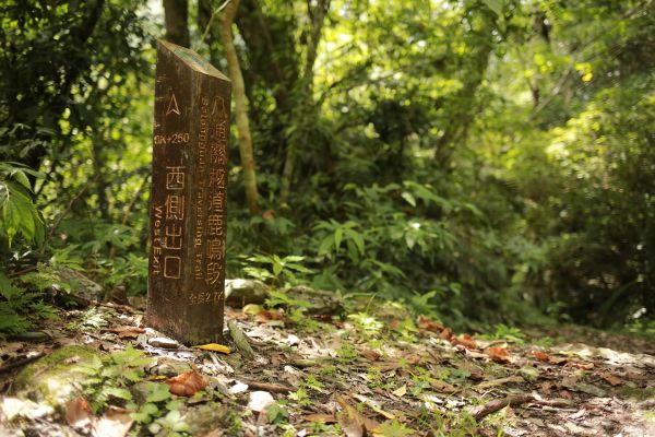 八通關越道：鹿鳴吊橋169770