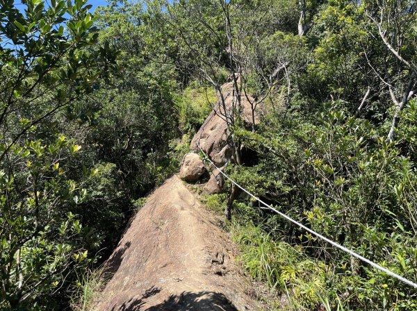 [微笑山線_第九段] 2025_0914 二格山系_天王峰2889565