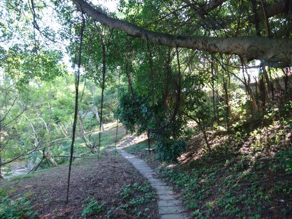 通霄神社-虎頭山700186