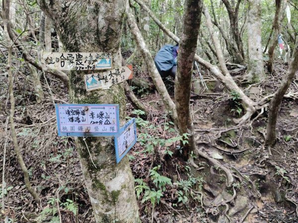 大混李棟重訓2883596