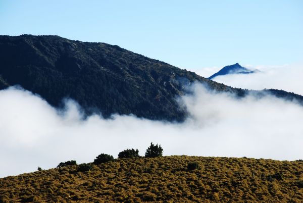 大水窟山的早晨，雲海鋪路217095