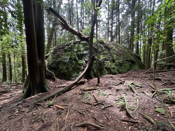加里山3078642