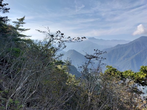 卓社林道行車終點-分分山-分分山南峰 2021.5.231406996