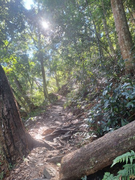 谷關蝴蝶谷瀑布202511202940798