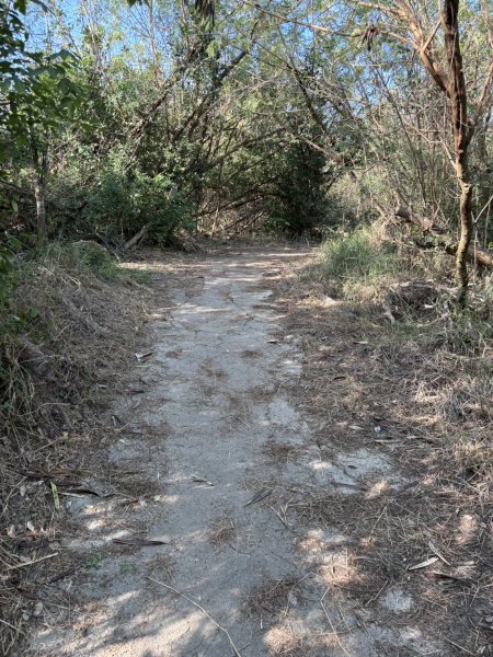 20251115壽山步道(元亨寺免費停車啟登)2938467