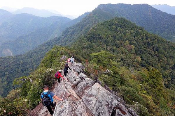 【台中】鳶嘴山賞杜鵑