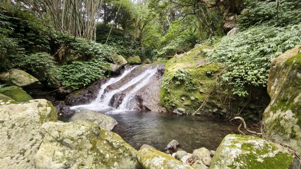 新北萬里，瑞泉溪畔古道環走+林市古道前段