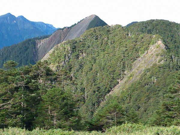 【臺中市和平區】大小劍山、佳陽山3天2夜(下)1815671