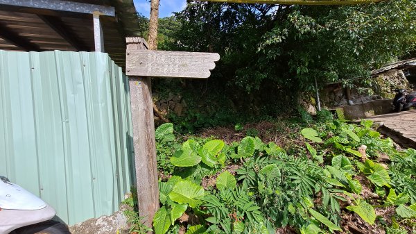 台北大縱走第一段1249153