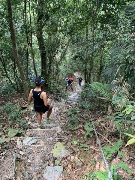 20251004高雄尾寮山-西北峰2907851