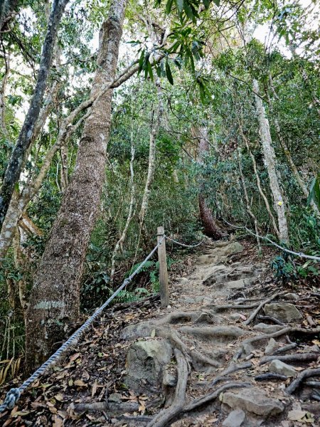 唐麻丹山-谷關七雄(老么)2991560