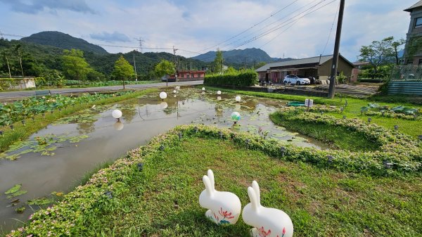 月眉坑瀑布步道.卯澳.雙柑公路2224822