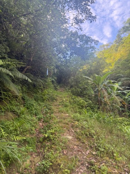 20250601 柑柑柑腳山2801038