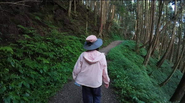 嘉義-特富野古道3120550