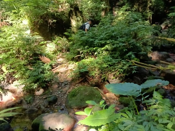 坪林區南闊瀨行(枋山坑古道+枋山坑崙+闊瀨越嶺保甲路O型)2916761