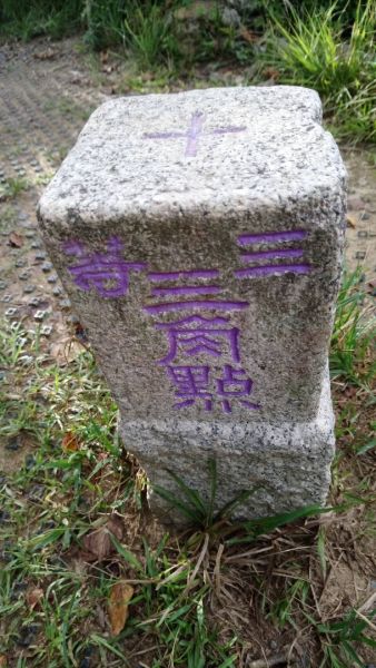 南勢角山（烘爐地土地公廟）392961