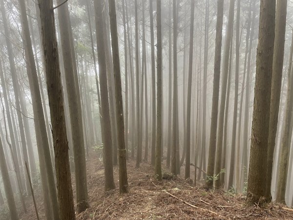 麥巴來山~五峰最美的山...1697177