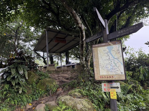 [微笑山線_第三段] 2026_0328 鳶山山系_福德坑山3025580