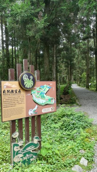 20180707漫步福山植物園380582