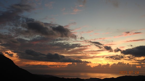 雲山水花鳥蝶-天龍國阿伯的日常7/242229444