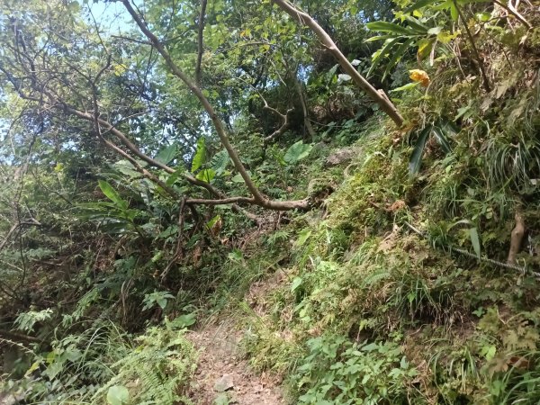 瑞芳區內九份溪水圳橋+水圳路風吹輦隔+無言の山丘+六坑斜坡索道O型2891654