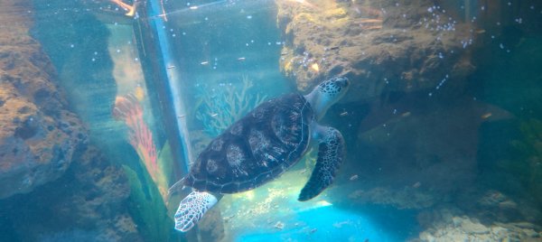 杭州動物園3089161