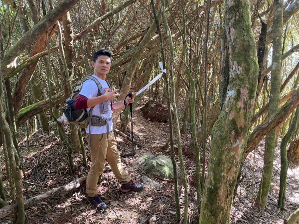 長壽山-醜崠山-鳶嘴山【既優雅又狂野的另類選擇】2673970